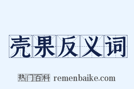 壳果反义词是什么意思的图片